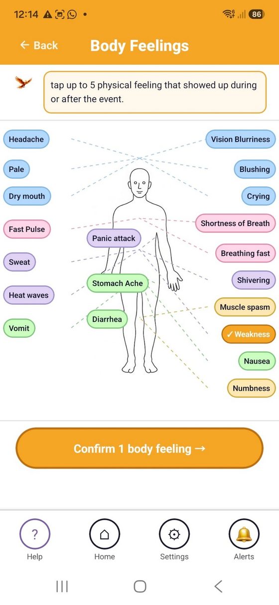 BvTer app: body feelings map
